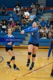 Volleyball - Polk at West Henderson_BRE_9139