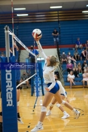 Volleyball - Polk at West Henderson_BRE_9143