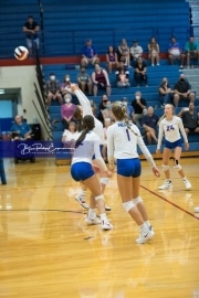 Volleyball - Polk at West Henderson_BRE_9147