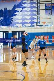 Volleyball - Polk at West Henderson_BRE_9190