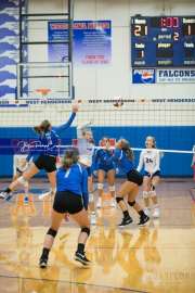 Volleyball - Polk at West Henderson_BRE_9193