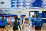 Volleyball - Polk at West Henderson_BRE_9194