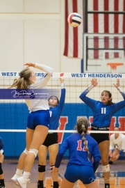 Volleyball - Polk at West Henderson_BRE_0075