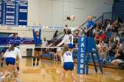 Volleyball - Polk at West Henderson_BRE_0094