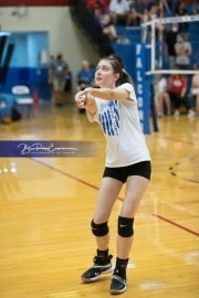Volleyball - Polk at West Henderson_BRE_9226