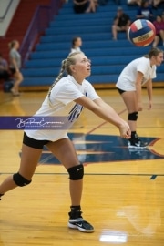 Volleyball - Polk at West Henderson_BRE_9227