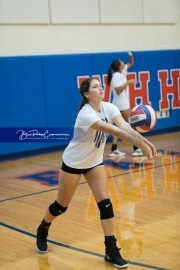 Volleyball - Polk at West Henderson_BRE_9232