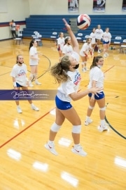 Volleyball - Polk at West Henderson_BRE_9278