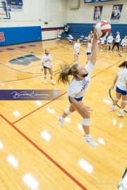 Volleyball - Polk at West Henderson_BRE_9295