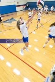 Volleyball - Polk at West Henderson_BRE_9299