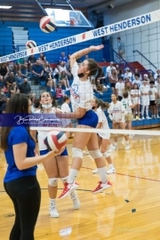 Volleyball - Polk at West Henderson_BRE_9327