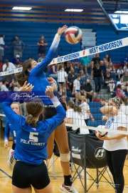 Volleyball - Polk at West Henderson_BRE_9332