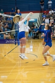 Volleyball - Polk at West Henderson_BRE_9418