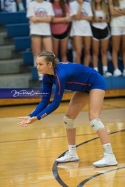Volleyball - Polk at West Henderson_BRE_9420