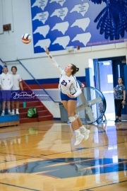 Volleyball - Polk at West Henderson_BRE_9429