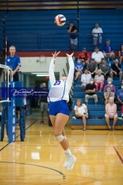 Volleyball - Polk at West Henderson_BRE_9444