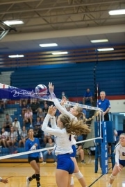 Volleyball - Polk at West Henderson_BRE_9451