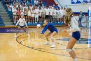 Volleyball - Polk at West Henderson_BRE_9452