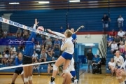 Volleyball - Polk at West Henderson_BRE_9455