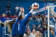 Volleyball - Polk at West Henderson_BRE_9465