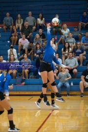 Volleyball - Polk at West Henderson_BRE_9469