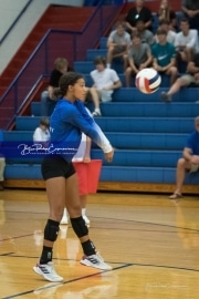 Volleyball - Polk at West Henderson_BRE_9473