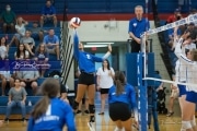 Volleyball - Polk at West Henderson_BRE_9484