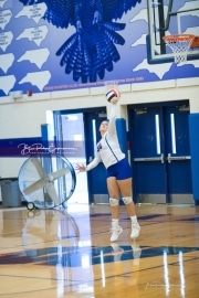Volleyball - Polk at West Henderson_BRE_9501