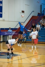 Volleyball - Polk at West Henderson_BRE_9503