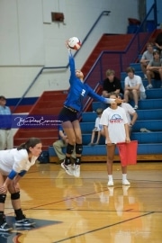 Volleyball - Polk at West Henderson_BRE_9509