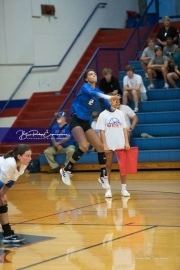 Volleyball - Polk at West Henderson_BRE_9510