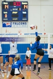 Volleyball - Polk at West Henderson_BRE_9552