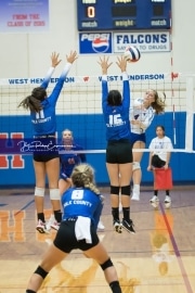 Volleyball - Polk at West Henderson_BRE_9554