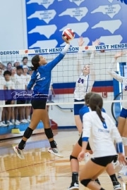 Volleyball - Polk at West Henderson_BRE_9563