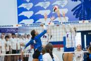 Volleyball - Polk at West Henderson_BRE_9564