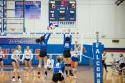 Volleyball - Polk at West Henderson_BRE_9572