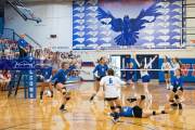 Volleyball - Polk at West Henderson_BRE_9581