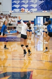Volleyball - Polk at West Henderson_BRE_9588