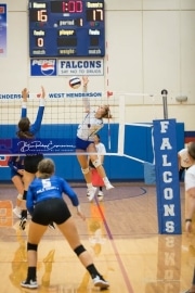 Volleyball - Polk at West Henderson_BRE_9590