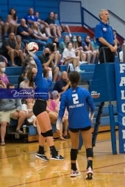 Volleyball - Polk at West Henderson_BRE_9592