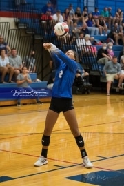 Volleyball - Polk at West Henderson_BRE_9597