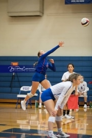Volleyball - Polk at West Henderson_BRE_9626