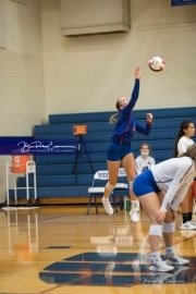 Volleyball - Polk at West Henderson_BRE_9660