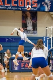 Volleyball - Polk at West Henderson_BRE_9695