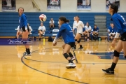 Volleyball - Polk at West Henderson_BRE_9731