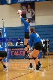 Volleyball - Polk at West Henderson_BRE_9771