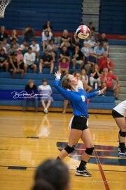 Volleyball - Polk at West Henderson_BRE_9816