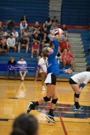 Volleyball - Polk at West Henderson_BRE_9817