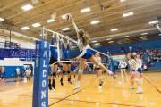 Volleyball - Polk at West Henderson_BRE_9858