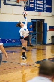 Volleyball - Polk at West Henderson_BRE_9941